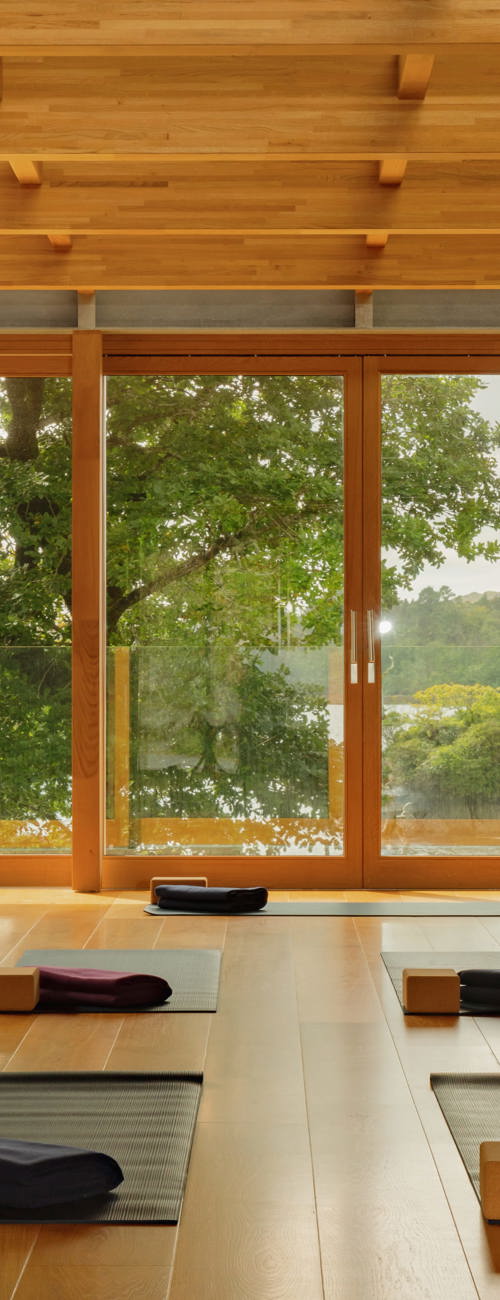 yoga and wellness room features a warm timber post-and-beam structure with floor-to-ceiling glass windows overlooking a lush woodland landscape