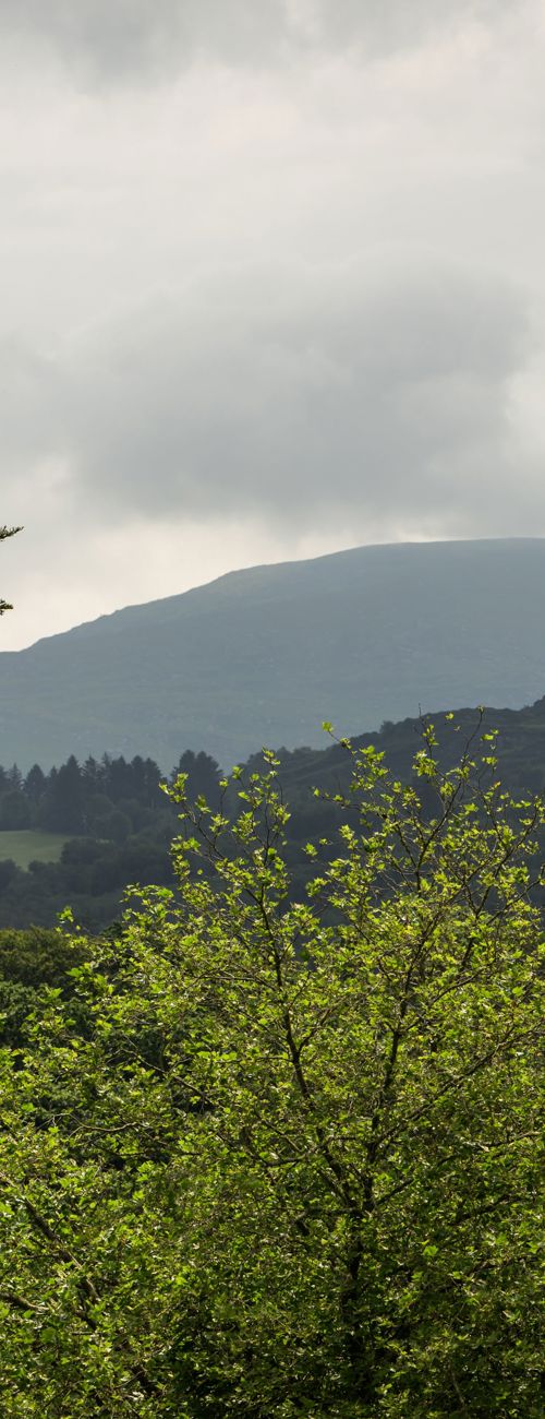 This scenic view overlooks the lush landscape of Mountains in Ireland. 