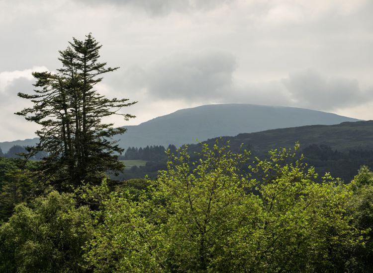 This scenic view overlooks the lush landscape of Mountains in Ireland. 
