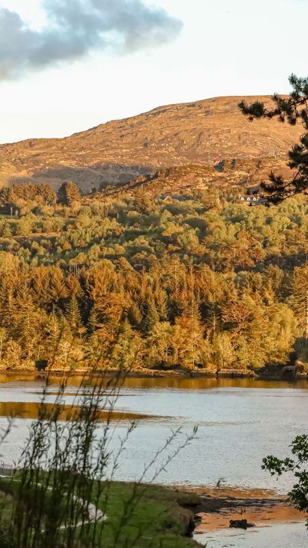 IMG 8247 111