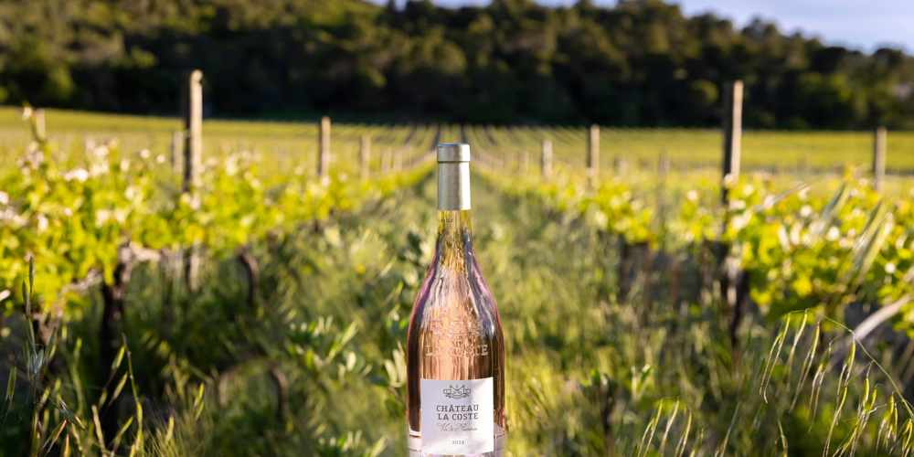 Chateau Rosé(C)Hervé Fabre1 (003)