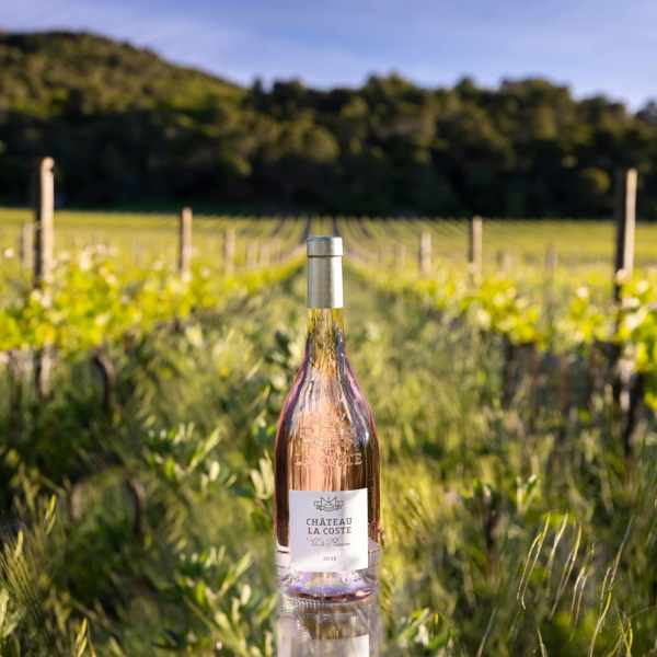 Chateau Rosé(C)Hervé Fabre1 (003)