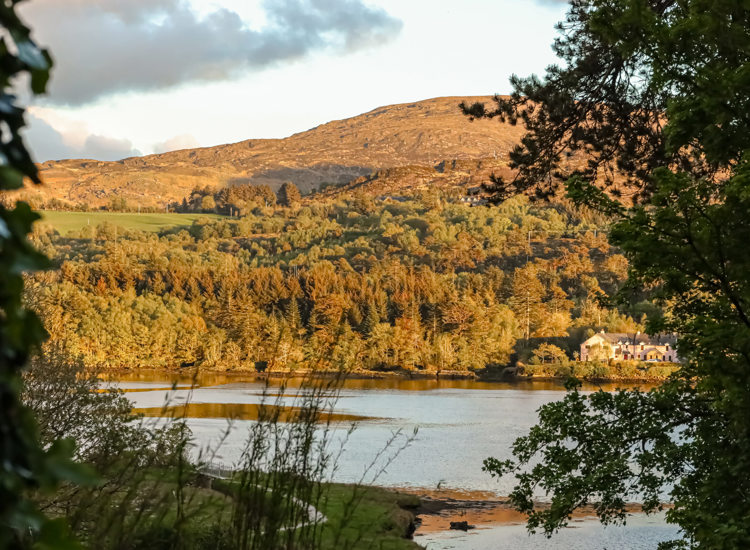 Park Kenmare Outside Lake