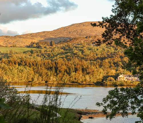 Park Kenmare Outside Lake